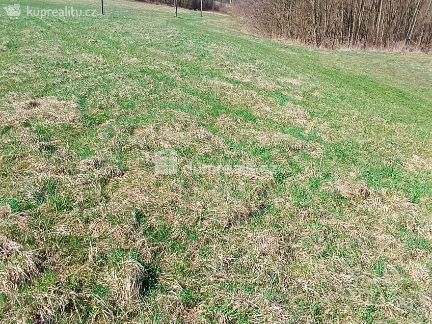 Prodej  stavebního pozemku 1246 m^2 Heřmanov, Heřmanov 