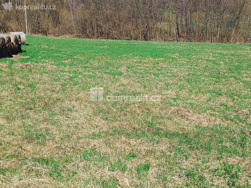 Prodej  stavebního pozemku 1246 m^2 Heřmanov, Heřmanov 