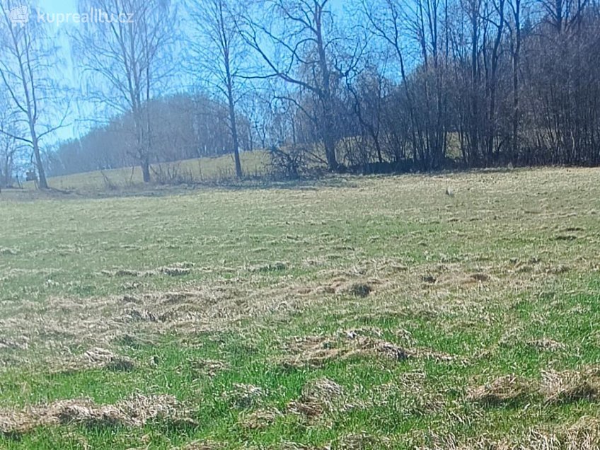 Prodej  stavebního pozemku 1819 m^2 Heřmanov, Heřmanov 