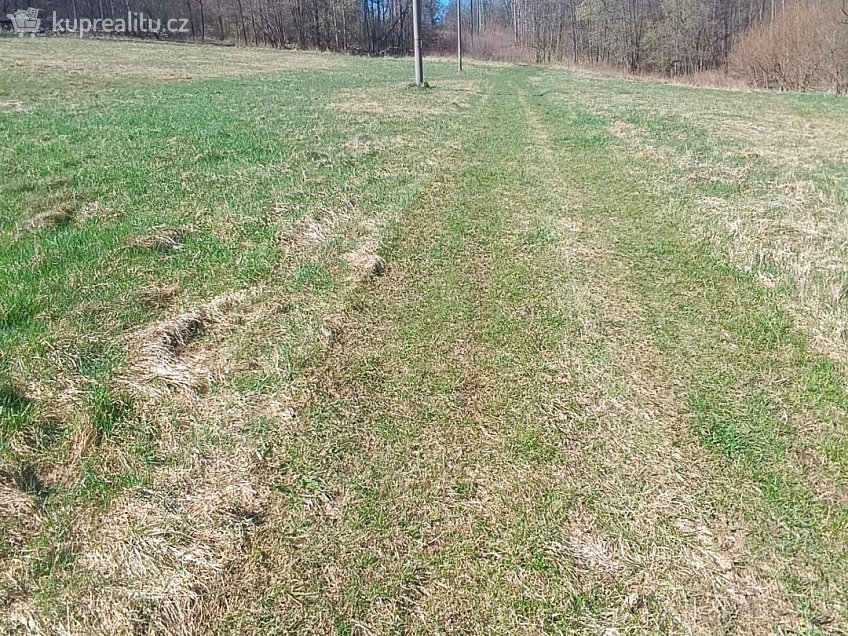 Prodej  stavebního pozemku 4050 m^2 Heřmanov, Heřmanov 