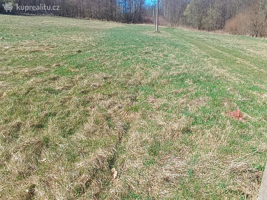 Prodej  stavebního pozemku 4050 m^2 Heřmanov, Heřmanov 