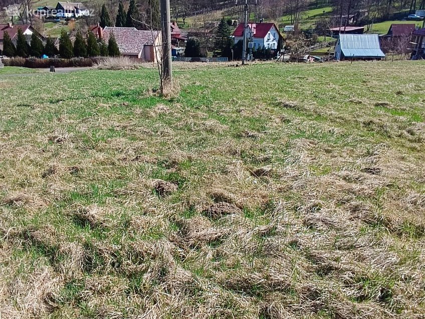 Prodej  stavebního pozemku 1146 m^2 Heřmanov, Heřmanov 