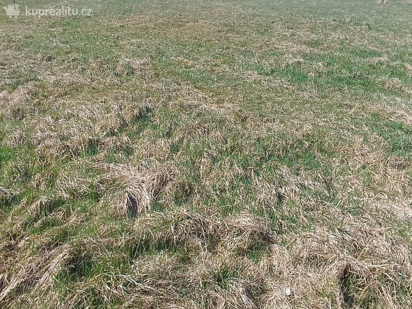 Prodej  stavebního pozemku 1263 m^2 Heřmanov, Heřmanov 