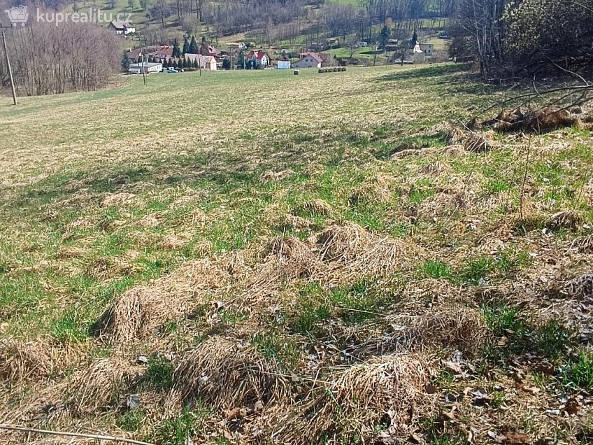 Prodej  stavebního pozemku 4280 m^2 Heřmanov, Heřmanov 