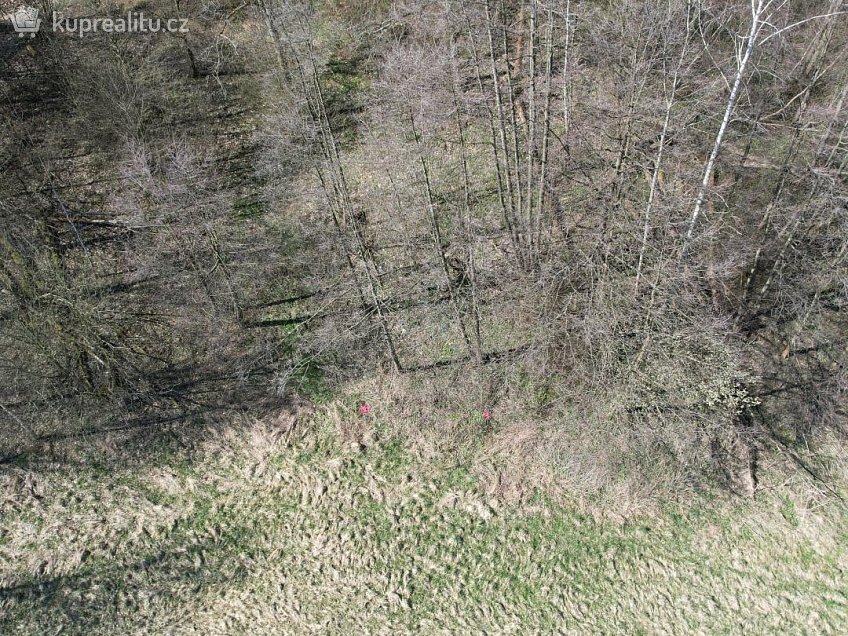 Prodej  stavebního pozemku 4280 m^2 Heřmanov, Heřmanov 