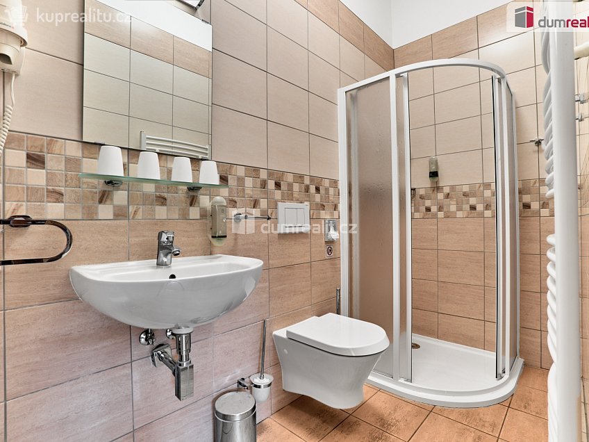 Prodej bytu 2+kk 47 m^2 Merklín, Merklín 