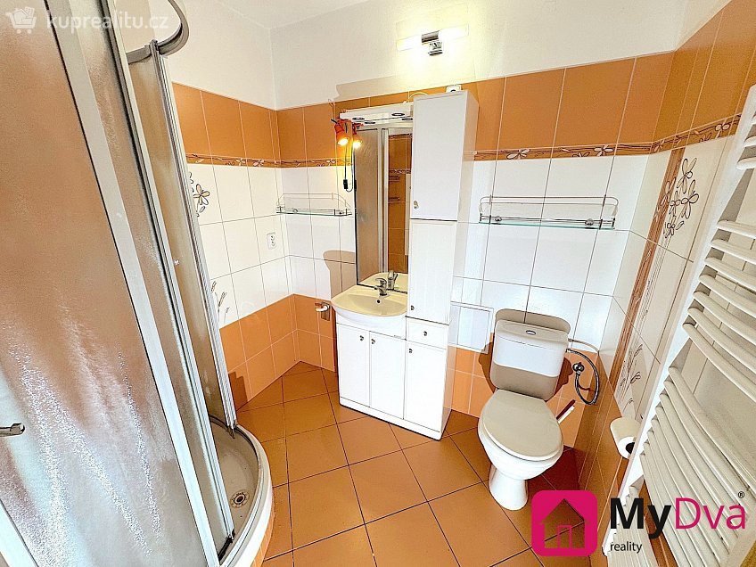 Pronájem bytu 3+1 70 m^2 Božice, Božice 