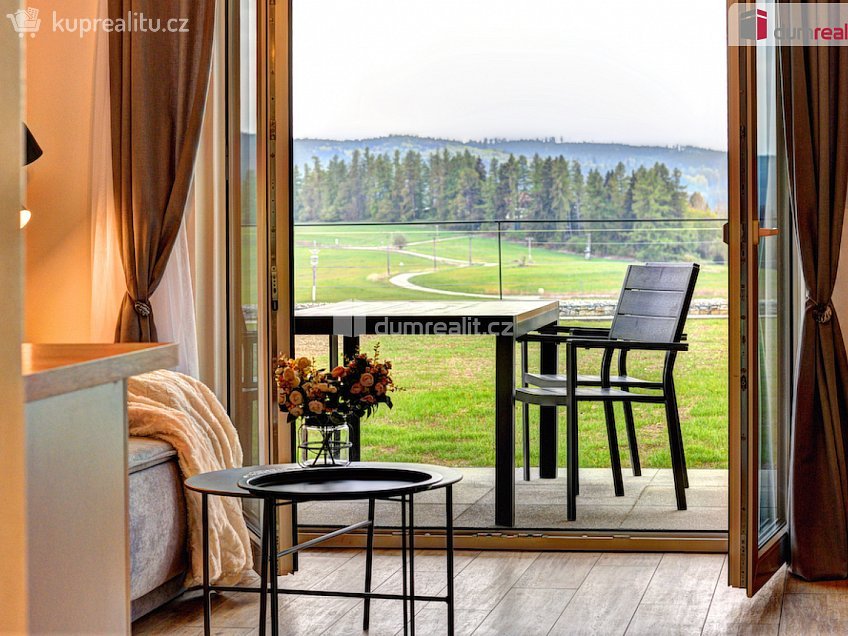 Prodej bytu 1+kk 47 m^2 Frymburk, Frymburk 