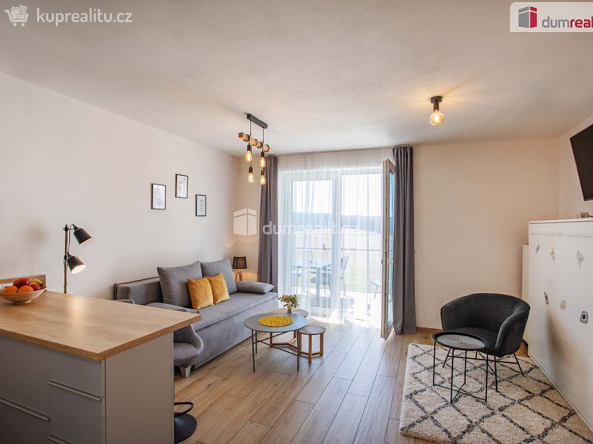 Prodej bytu 1+kk 47 m^2 Frymburk, Frymburk 