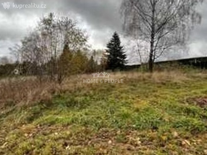 Prodej  stavebního pozemku 2620 m^2 Světlík, Světlík 