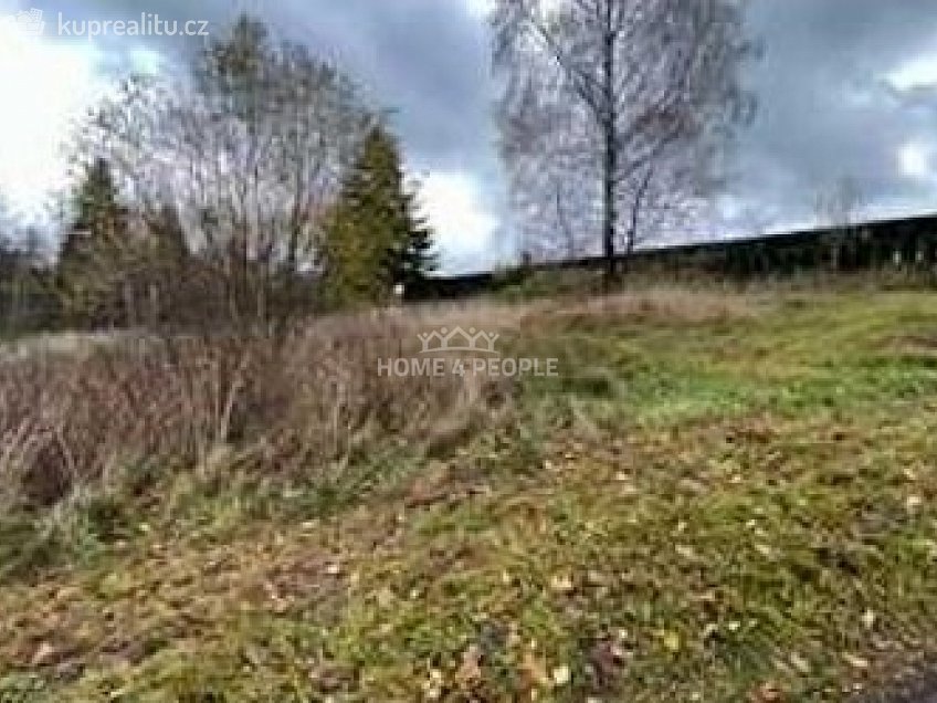 Prodej  stavebního pozemku 2620 m^2 Světlík, Světlík 