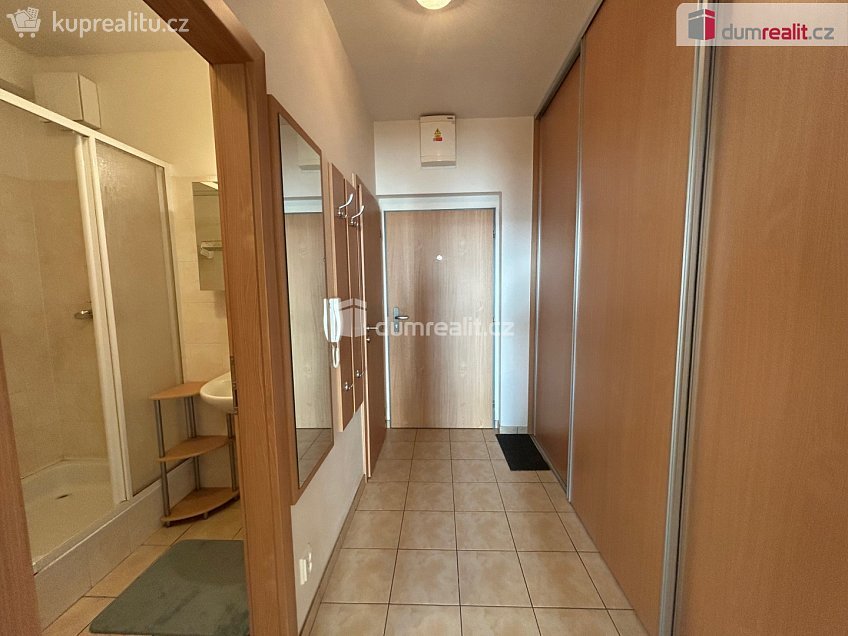 Pronájem bytu 1+kk 33 m^2 Mlýnská, Kolín 