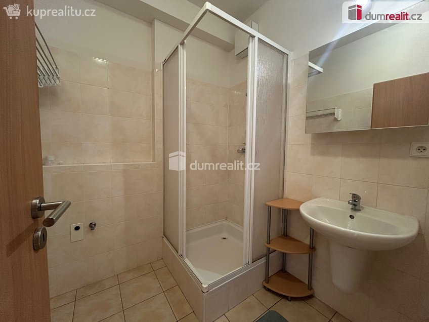 Pronájem bytu 1+kk 33 m^2 Mlýnská, Kolín 