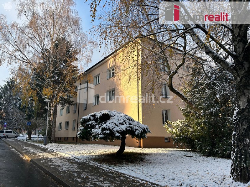 Pronájem bytu 2+1 60 m^2 Na Magistrále, Kolín 