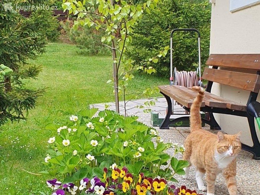 Prodej  rodinného domu 170 m^2 Na Stráni 119, Valy 