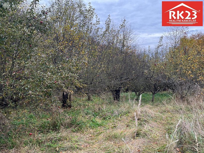 Prodej  stavebního pozemku 994 m^2 Stráž 46, Stráž 