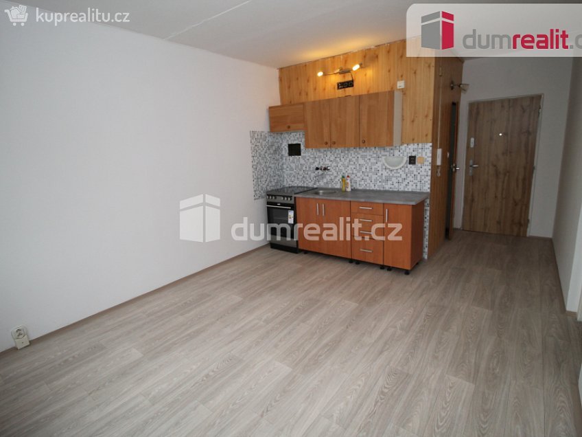 Pronájem bytu 1+1 38 m^2 Revoluční, Nové Sedlo 