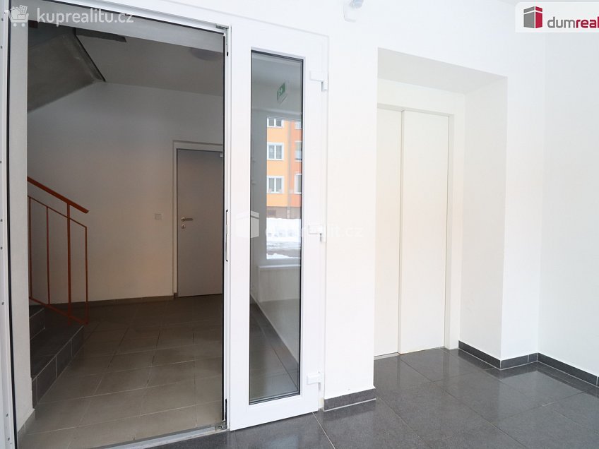 Pronájem bytu 2+kk 39 m^2 Svobodova, Nová Role 