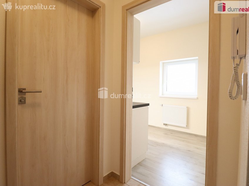 Pronájem bytu 2+kk 39 m^2 Svobodova, Nová Role 