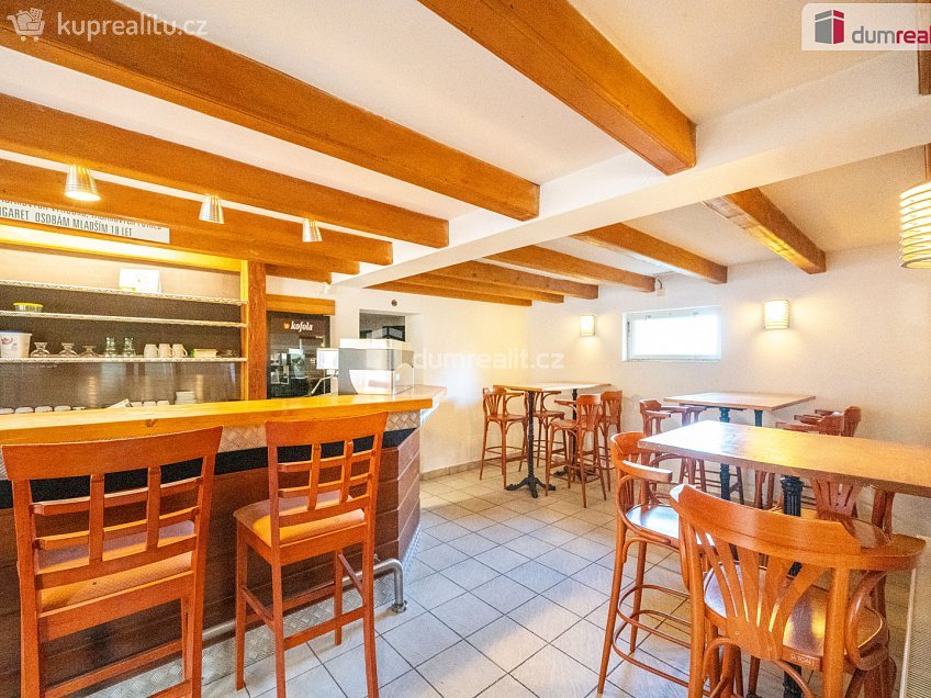 Prodej  restauračního zařízení 297 m^2 Na Výši, Boršov nad Vltavou 