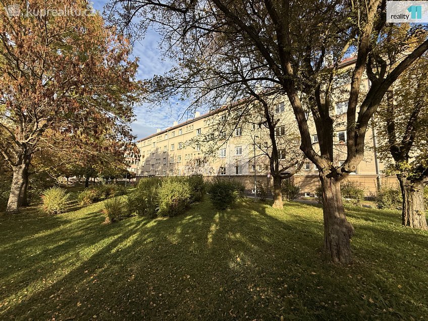 Prodej bytu 3+1 74 m^2 Schwarzova, Plzeň 