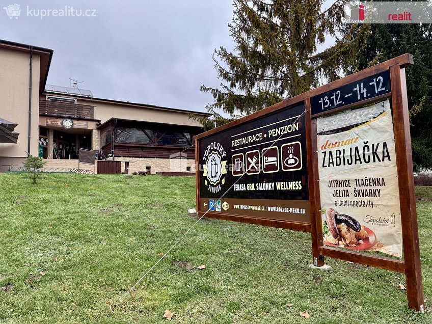 Pronájem  restauračního zařízení 908 m^2 Topolná, Topolná 