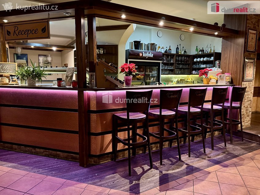 Pronájem  restauračního zařízení 908 m^2 Topolná, Topolná 