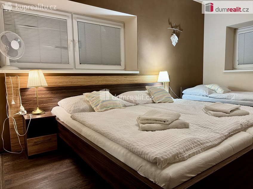 Pronájem  restauračního zařízení 908 m^2 Topolná, Topolná 