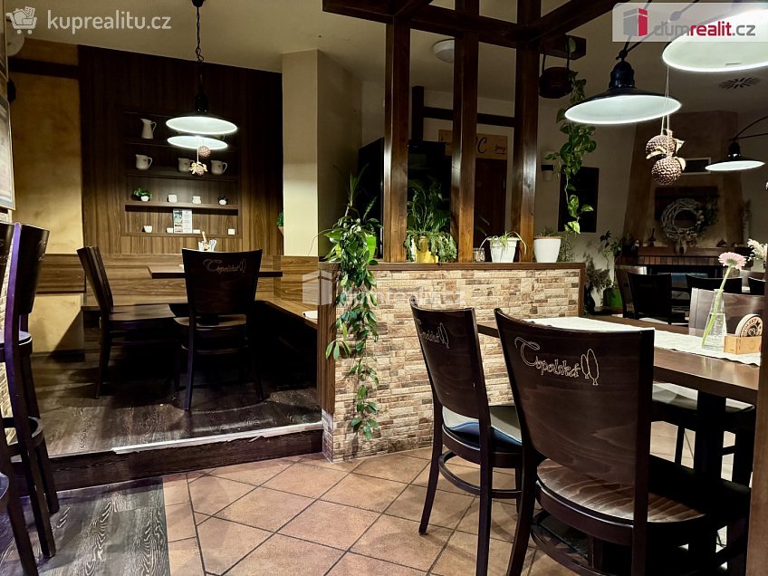 Pronájem  restauračního zařízení 908 m^2 Topolná, Topolná 