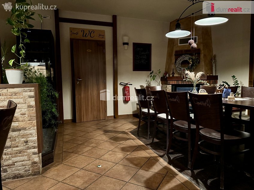 Pronájem  restauračního zařízení 908 m^2 Topolná, Topolná 