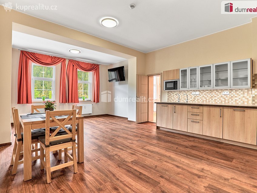 Prodej  ubytovacího zařízení 324 m^2 Merklín, Merklín 