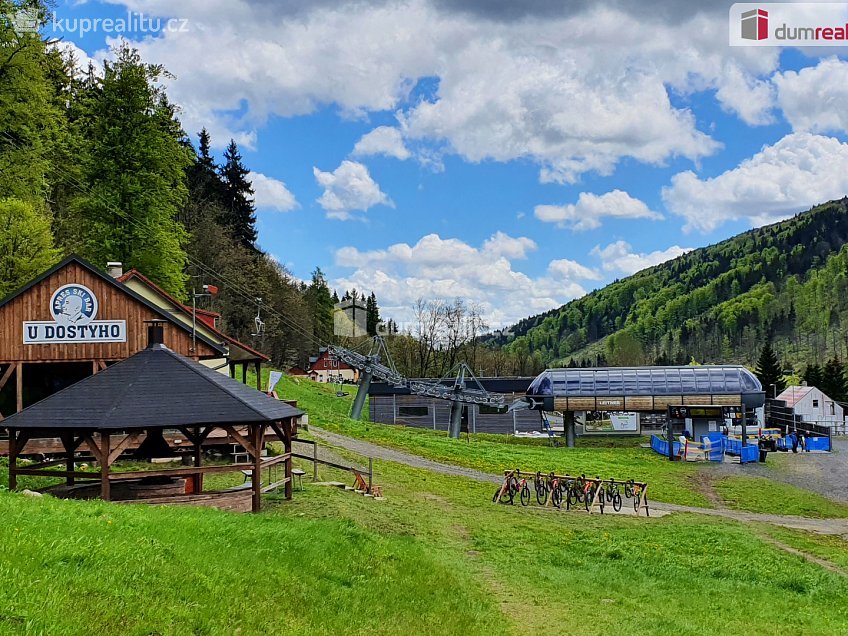 Prodej  ubytovacího zařízení 324 m^2 Merklín, Merklín 