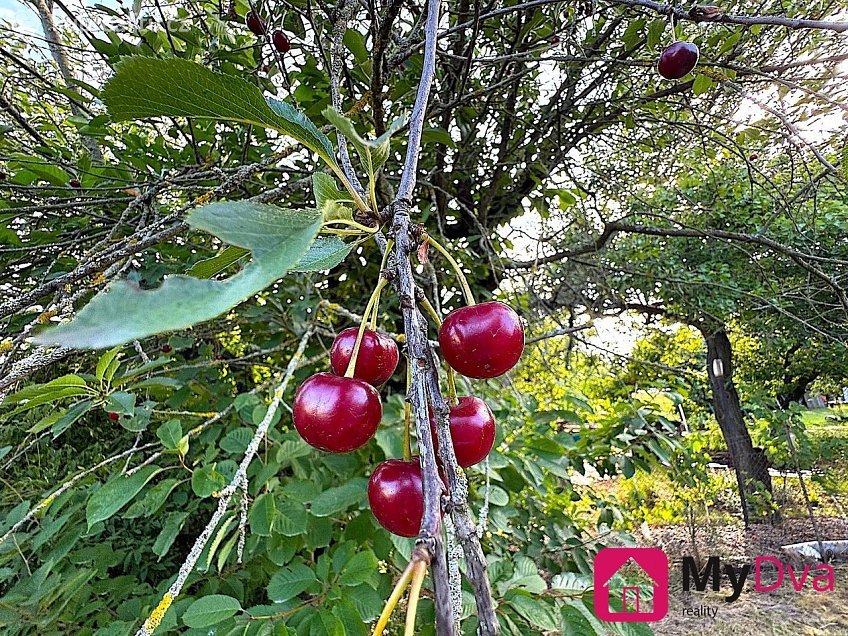 Prodej  stavebního pozemku 1465 m^2 Znojmo, Znojmo 