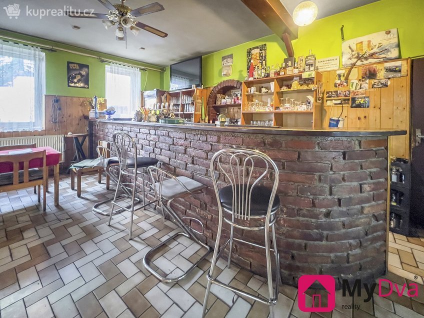 Prodej  restauračního zařízení 245 m^2 Jevišovická, Znojmo 