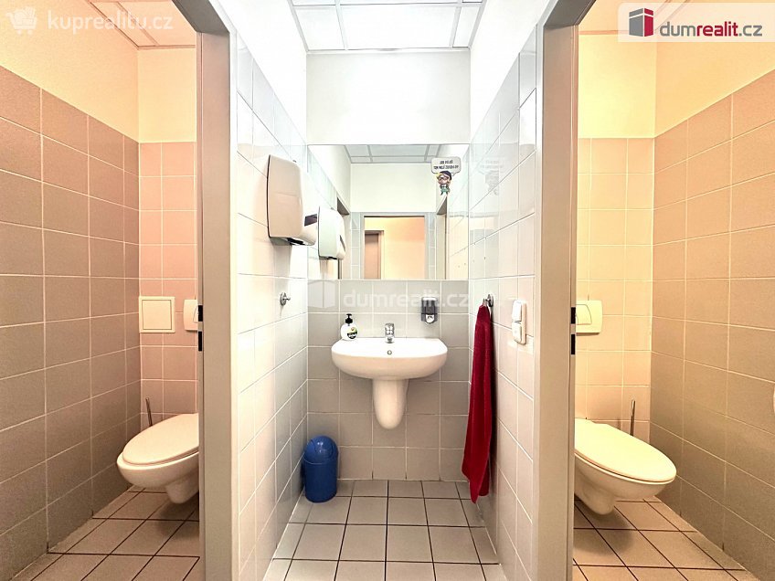 Pronájem  obchodních prostor 193 m^2 Bubeníčkova, Brno 