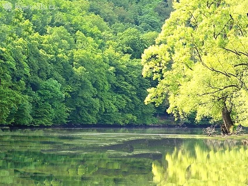 Pronájem bytu 1+kk 44 m^2 Brno, Hor.Heršpice, ul. Jižní, Brno 61900