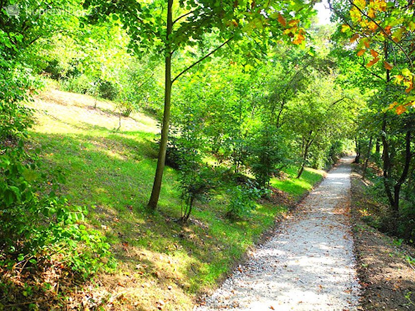 Pronájem bytu 1+kk 44 m^2 Brno, Hor.Heršpice, ul. Jižní, Brno 61900