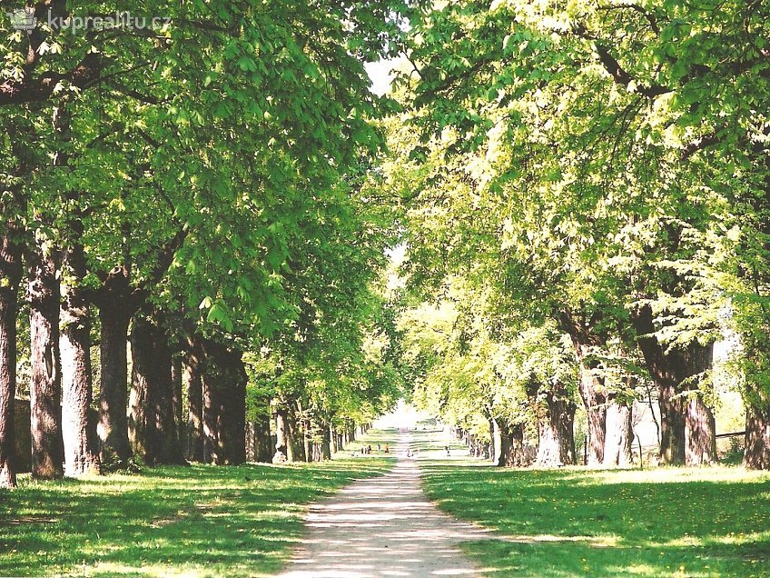 Pronájem bytu 1+kk 62 m^2 Zelnice II, Slavkov u Brna 98401