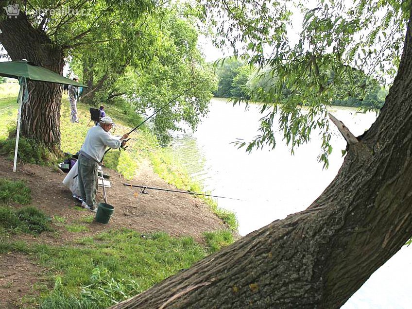 Pronájem bytu 1+kk 62 m^2 Zelnice II, Slavkov u Brna 98401