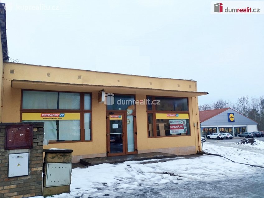 Pronájem  obchodních prostor 145 m^2 Blanická, Vlašim 