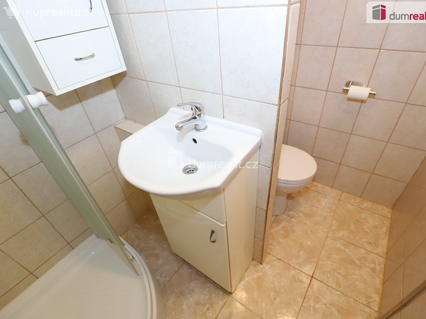 Pronájem bytu 1+1 40 m^2 Dlouhá, Aš 