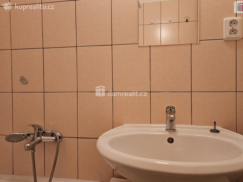 Pronájem bytu 2+1 64 m^2 Podolská, Praha 4 