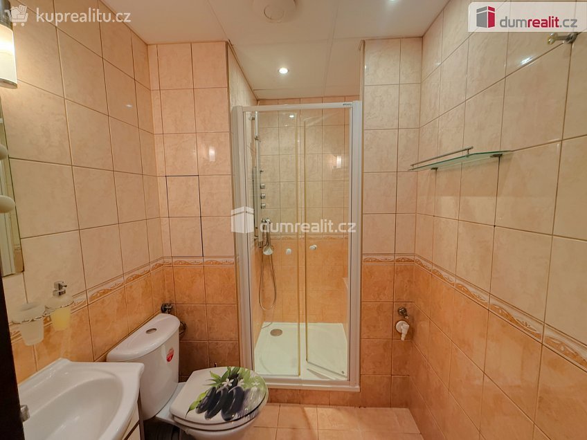 Pronájem bytu 1+1 37 m^2 Gagarinova, Ústí nad Labem 