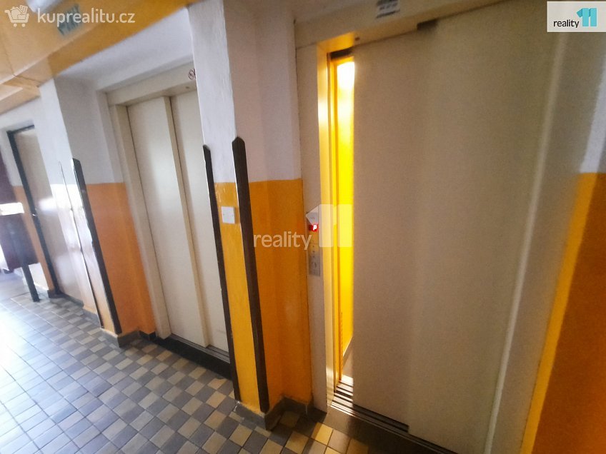 Pronájem bytu 1+kk 30 m^2 Svojsíkova, Nový Bor 