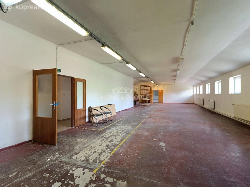 Pronájem  výrobních prostor 985 m^2 Žerotínovo nábřeží, Židlochovice 