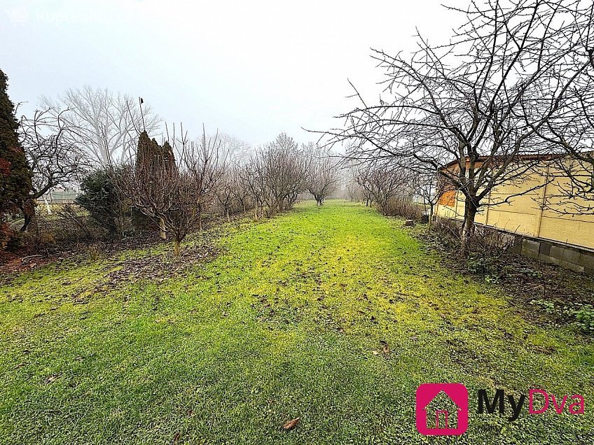 Pronájem  rodinného domu 280 m^2 Znojemská, Nový Šaldorf-Sedlešovice 