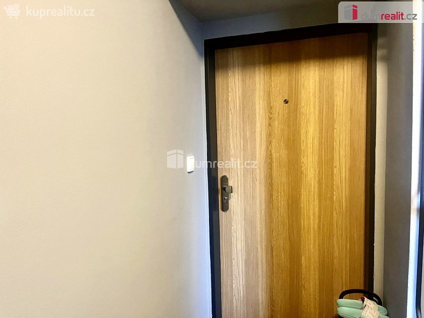 Pronájem bytu 1+kk 33 m^2 Antonínov, Tisá 