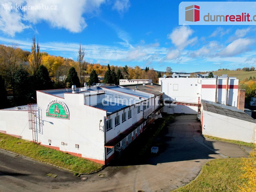 Pronájem  výrobních prostor 22351 m^2 Špidrova, Vimperk 