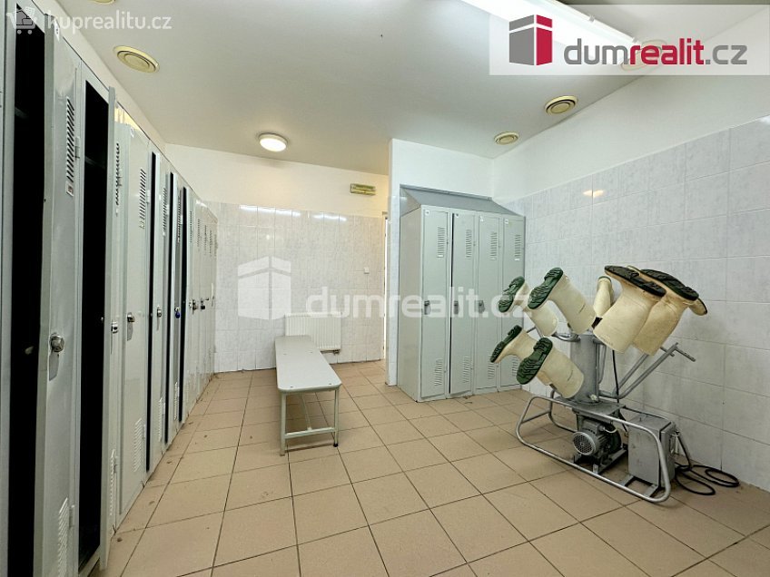 Pronájem  výrobních prostor 22351 m^2 Špidrova, Vimperk 