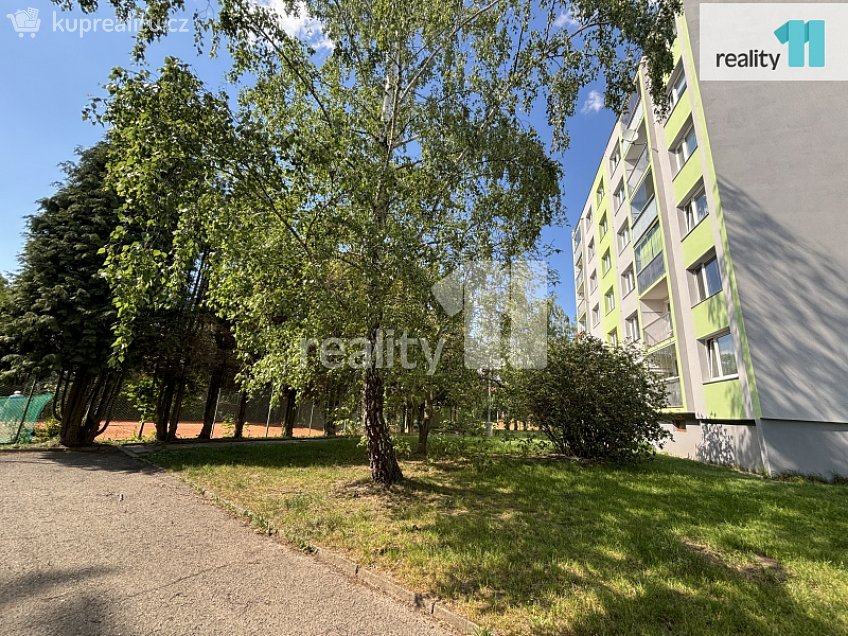 Pronájem bytu 2+1 48 m^2 Sluneční, Nový Bor 